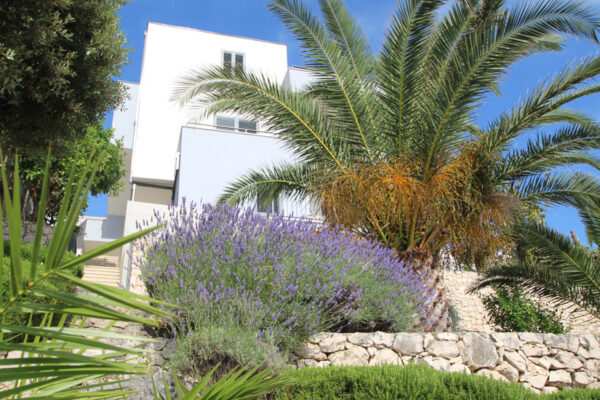 Villa Lavanda_Apartment Comfort_02