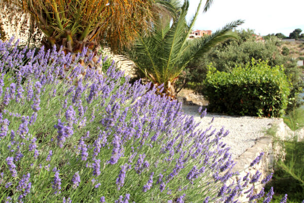 Villa Lavanda_Apartment Comfort_08