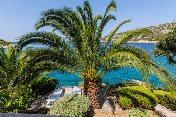 Villa Lavanda_Apartment Exclusive_04