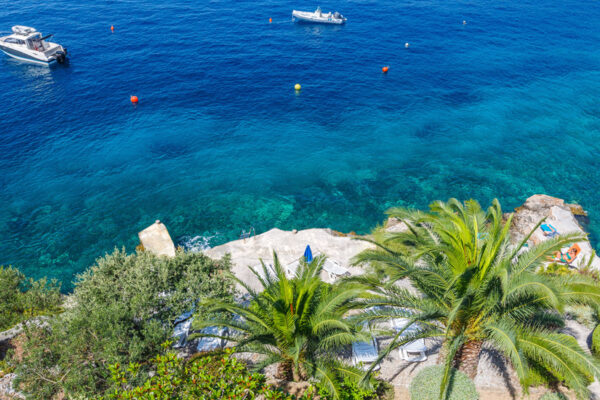 Villa Lavanda_Apartment Premium_13