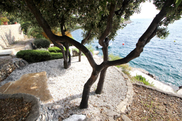 Villa Lavanda_Apartment Premium_14